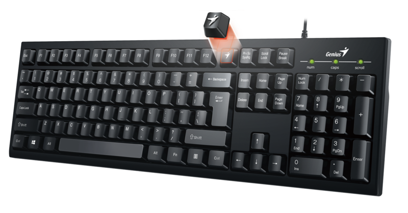 Genius  KB-100 USB Smart Keyboard  with User Customise F Keys, Black